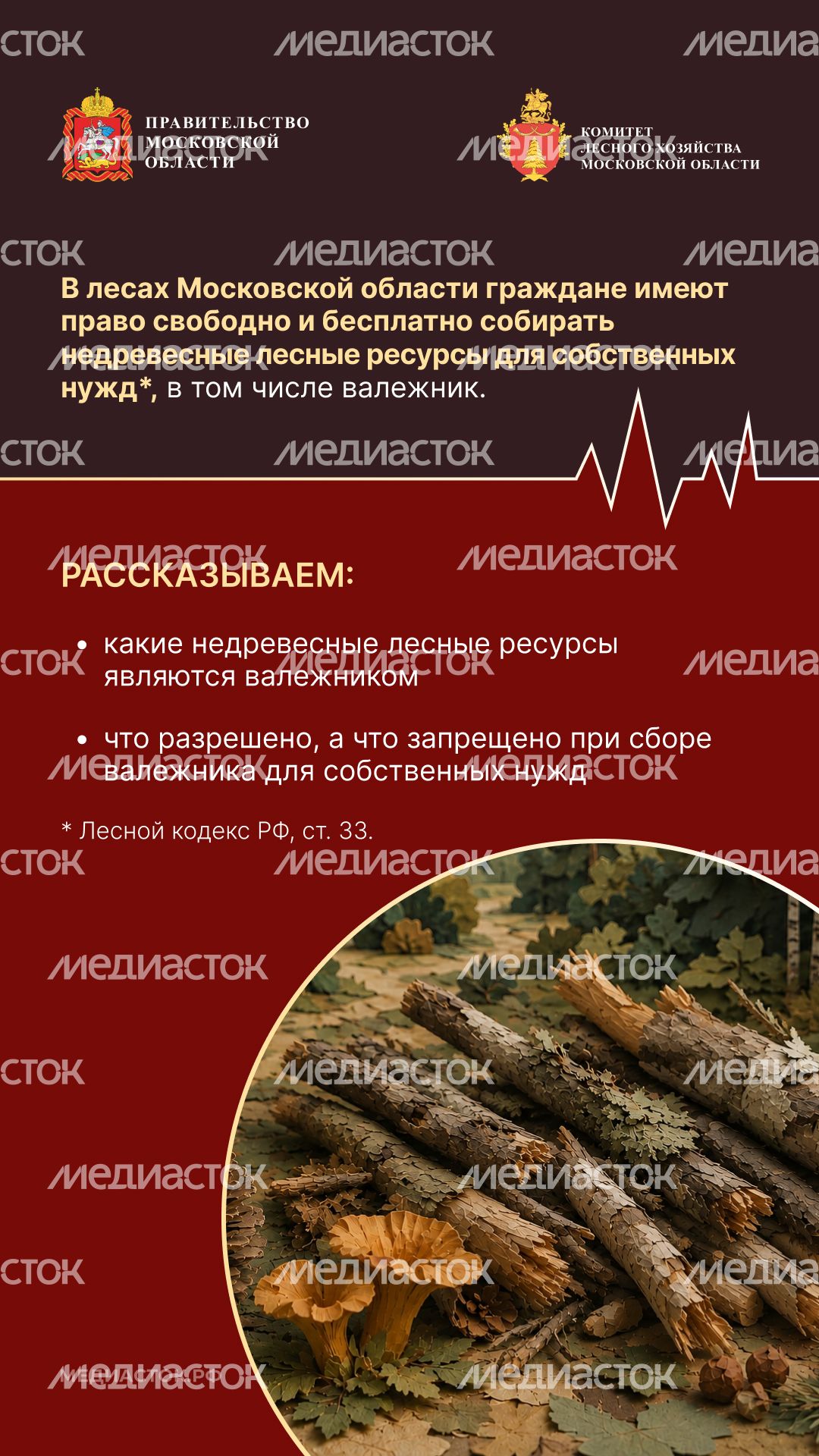 Валежник для собственных нужд вертикаль 02 Валежник для собственных нужд вертикаль 02