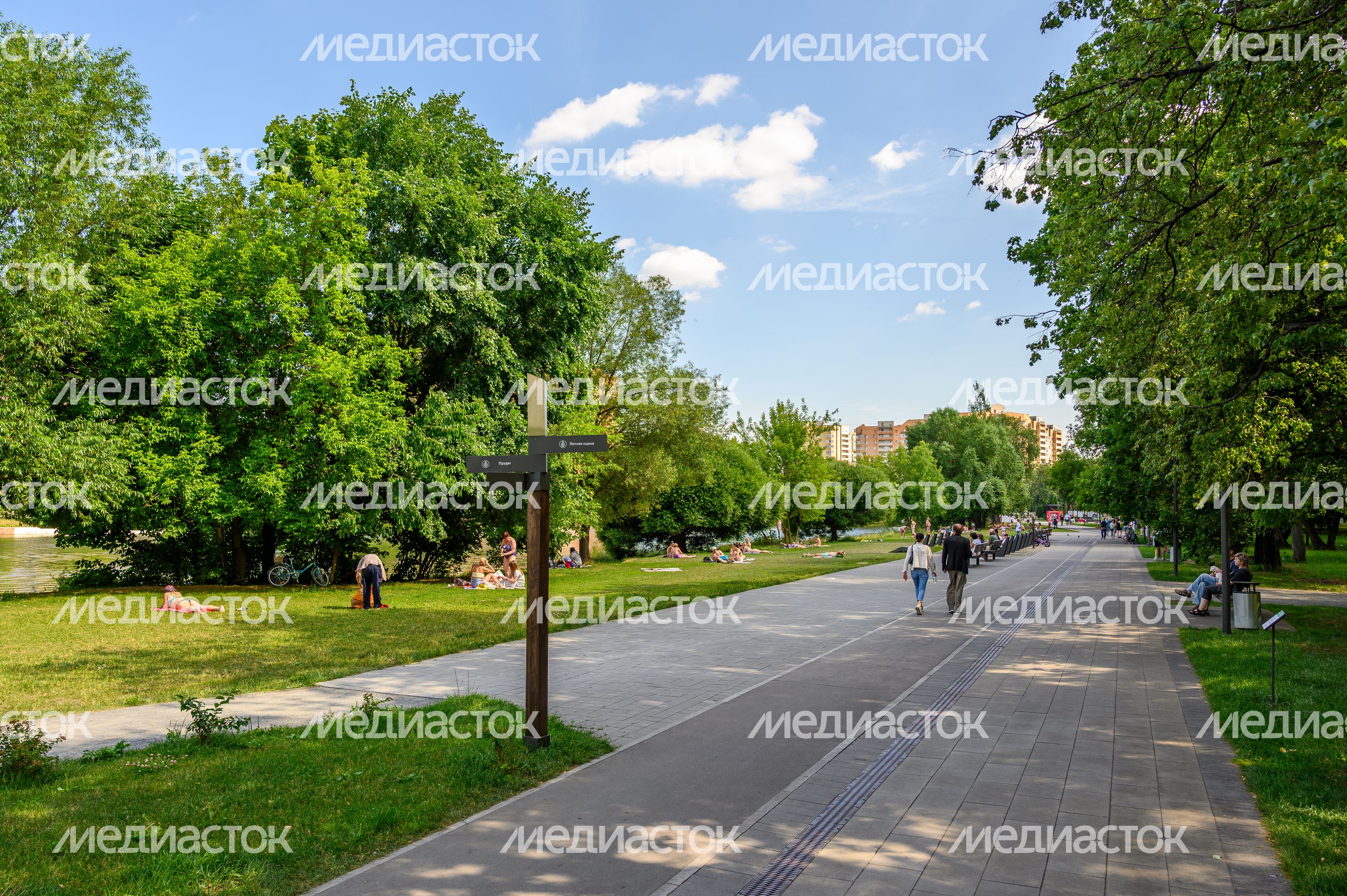 Лето в Наташинском парке Люберец