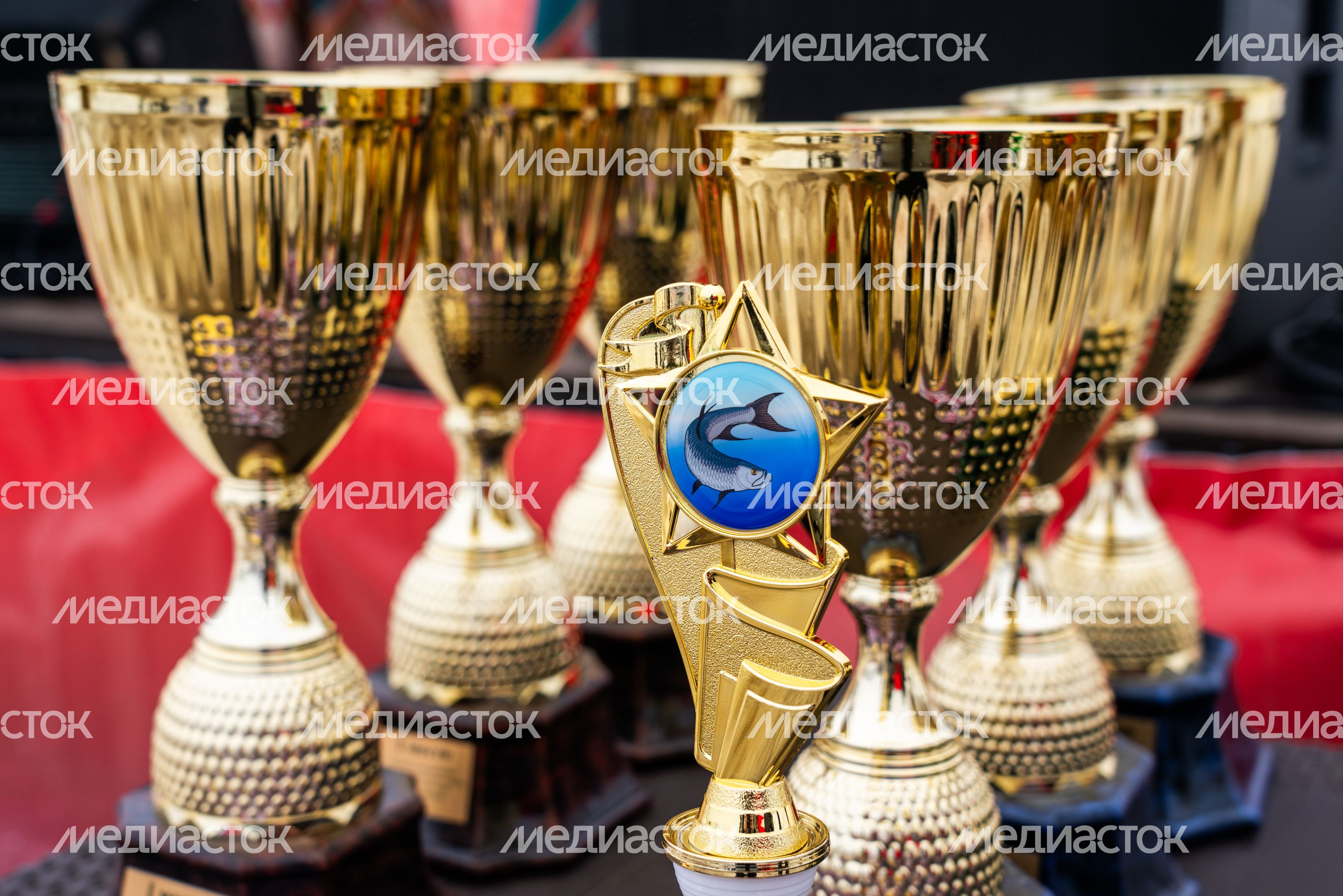 Кубок для победителей соревнований по подледному лову «Рузская рыбалка-2026» на Озернинском водохранилище Кубок для победителей соревнований по подледному лову «Рузская рыбалка-2026» на Озернинском водохранилище