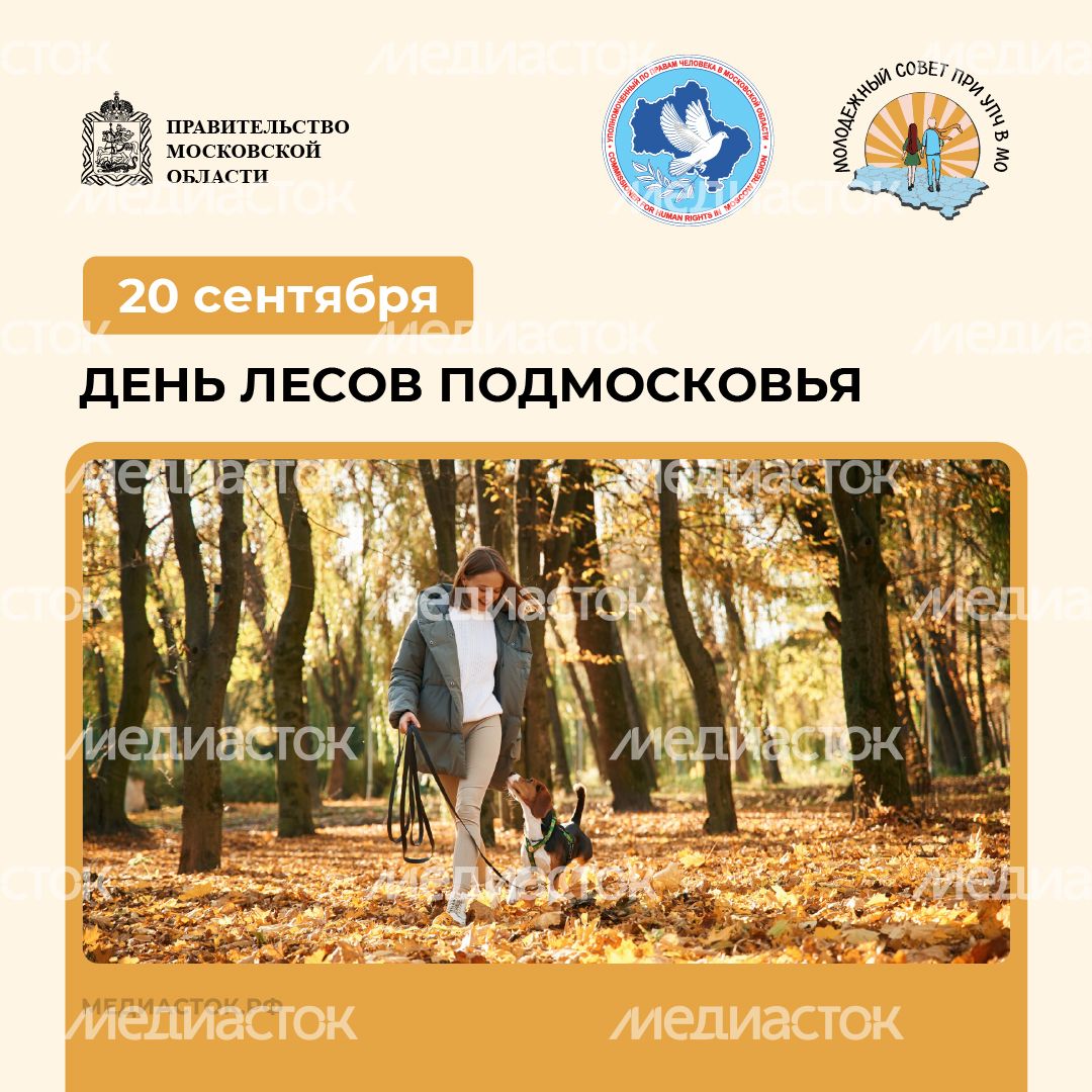 20 сентября квадрат 06 20 сентября квадрат 06