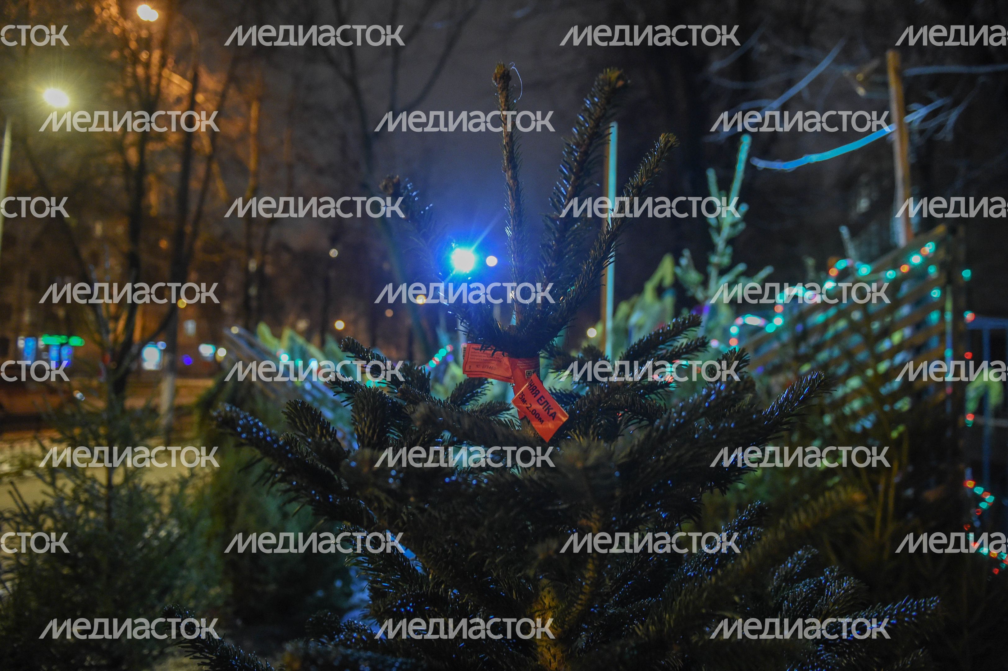 Открытие елочных базаров в Москве
