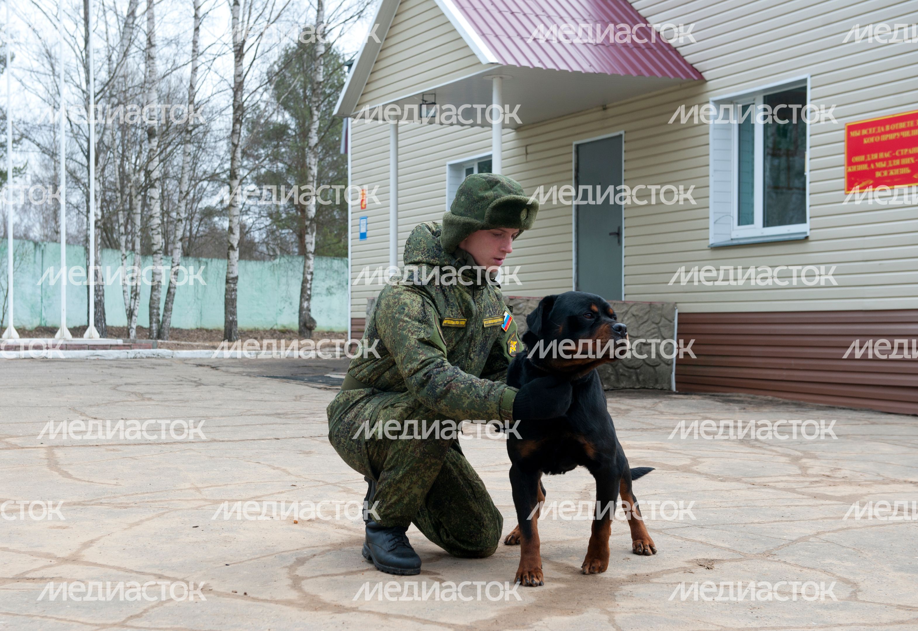 Племенной питомник «Красная Звезда» в Дмитровском районе