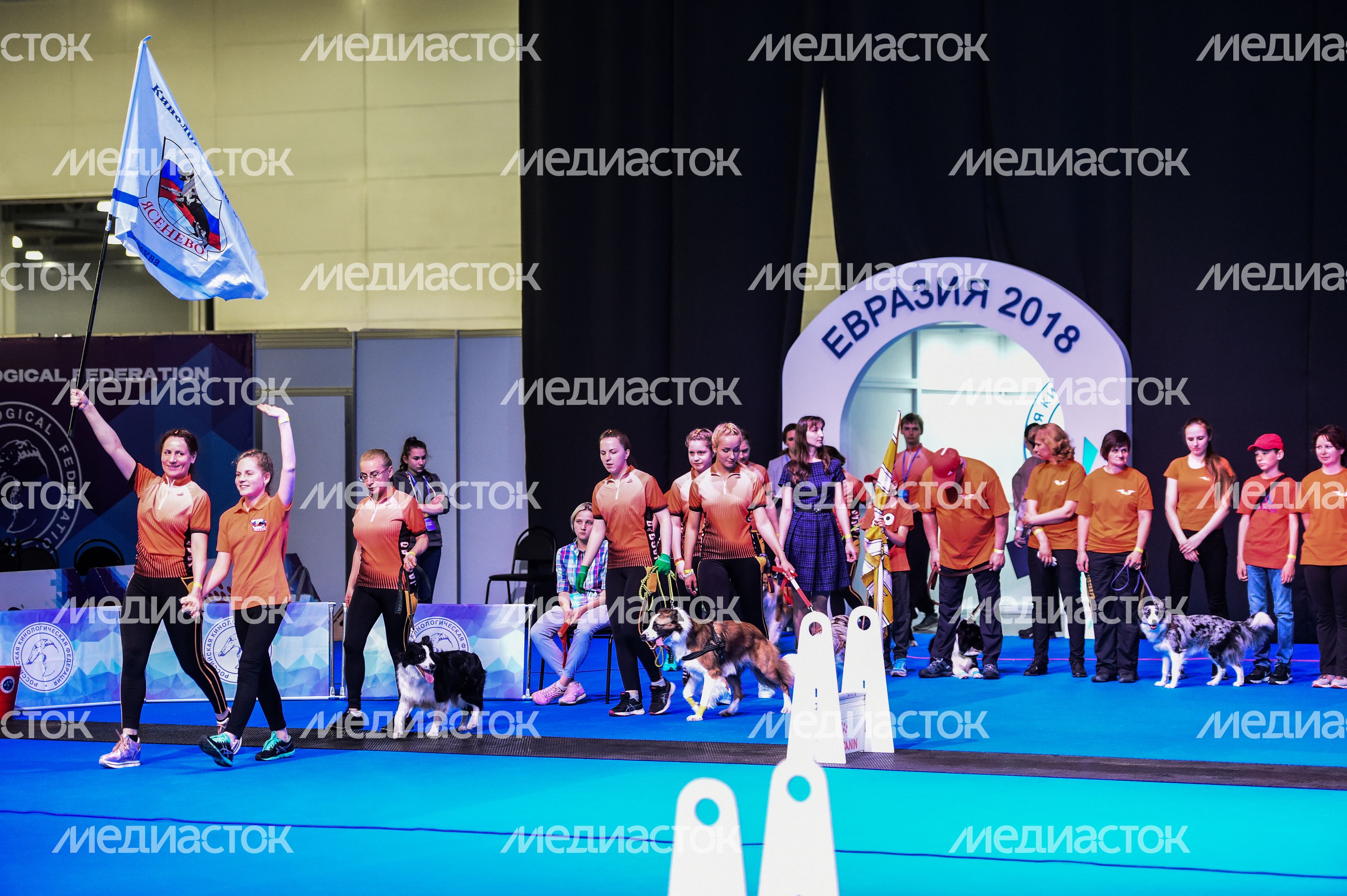 Выставка собак Евразия‑2018 прошла в Подмосковье