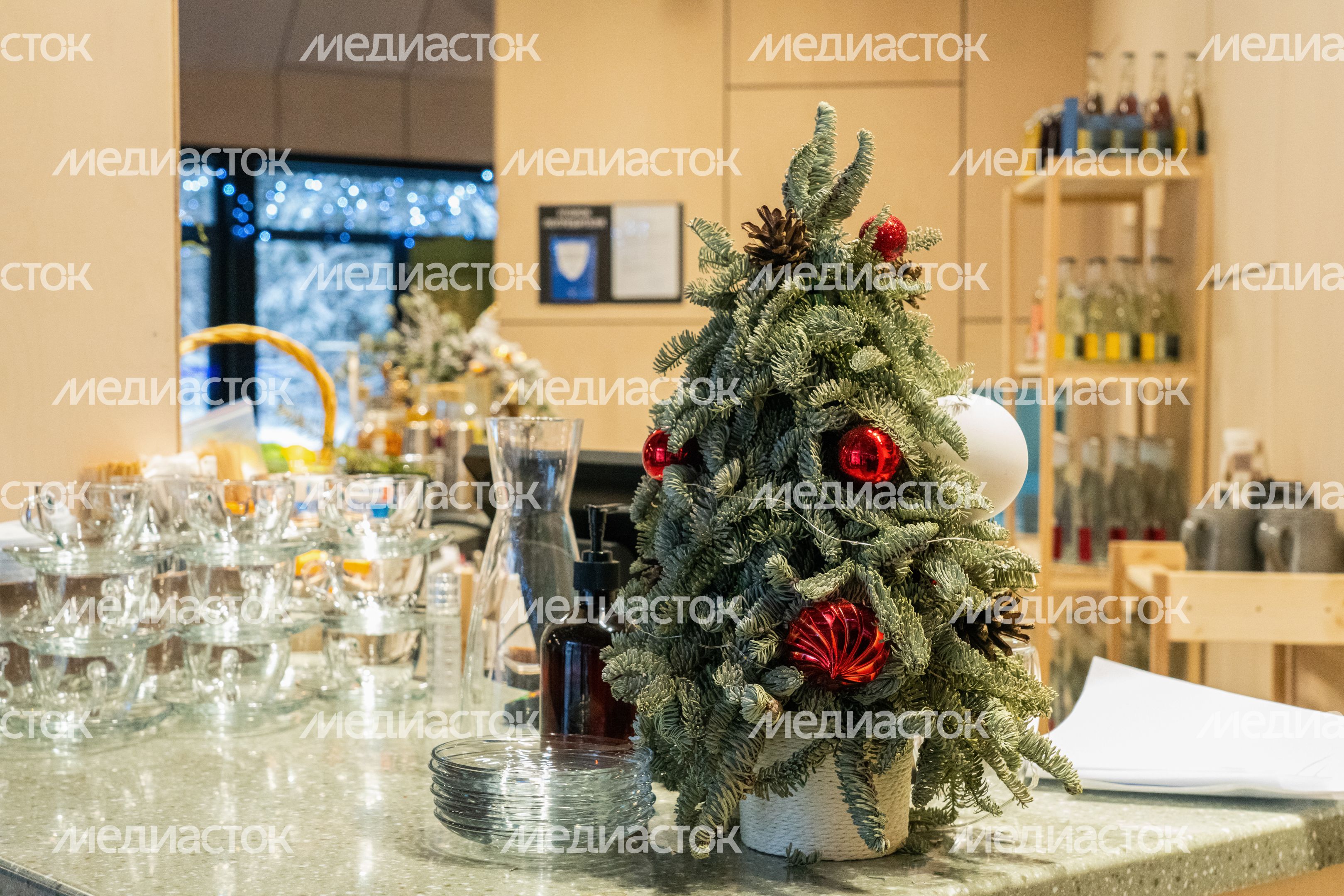 Кафе «Шишки-мишки» в парке «Шишкин лес» в Истре