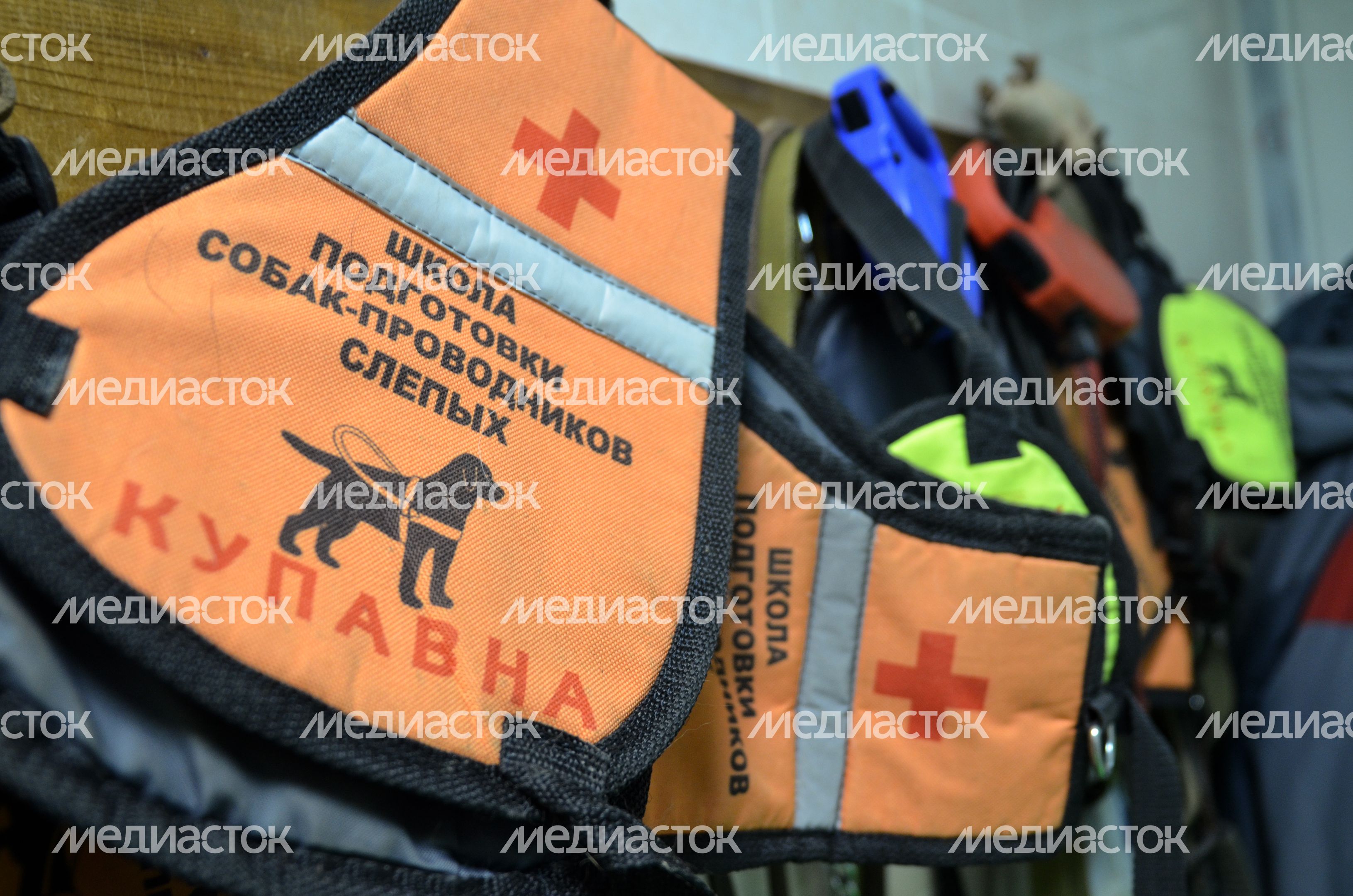Школа подготовки собак-проводников для слепых Школа подготовки собак-проводников для слепых