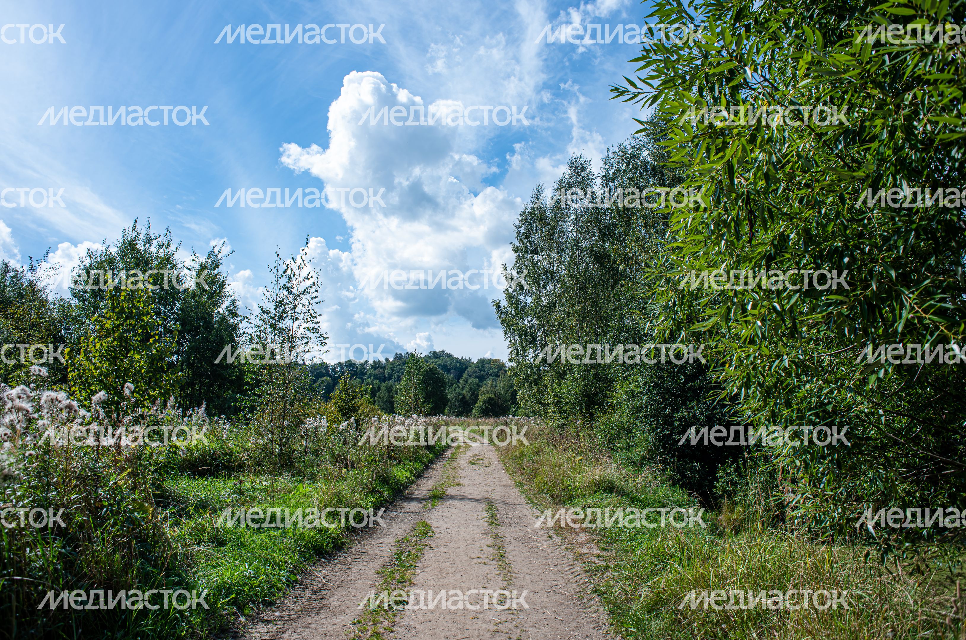 Летние виды музея деревянного зодчества