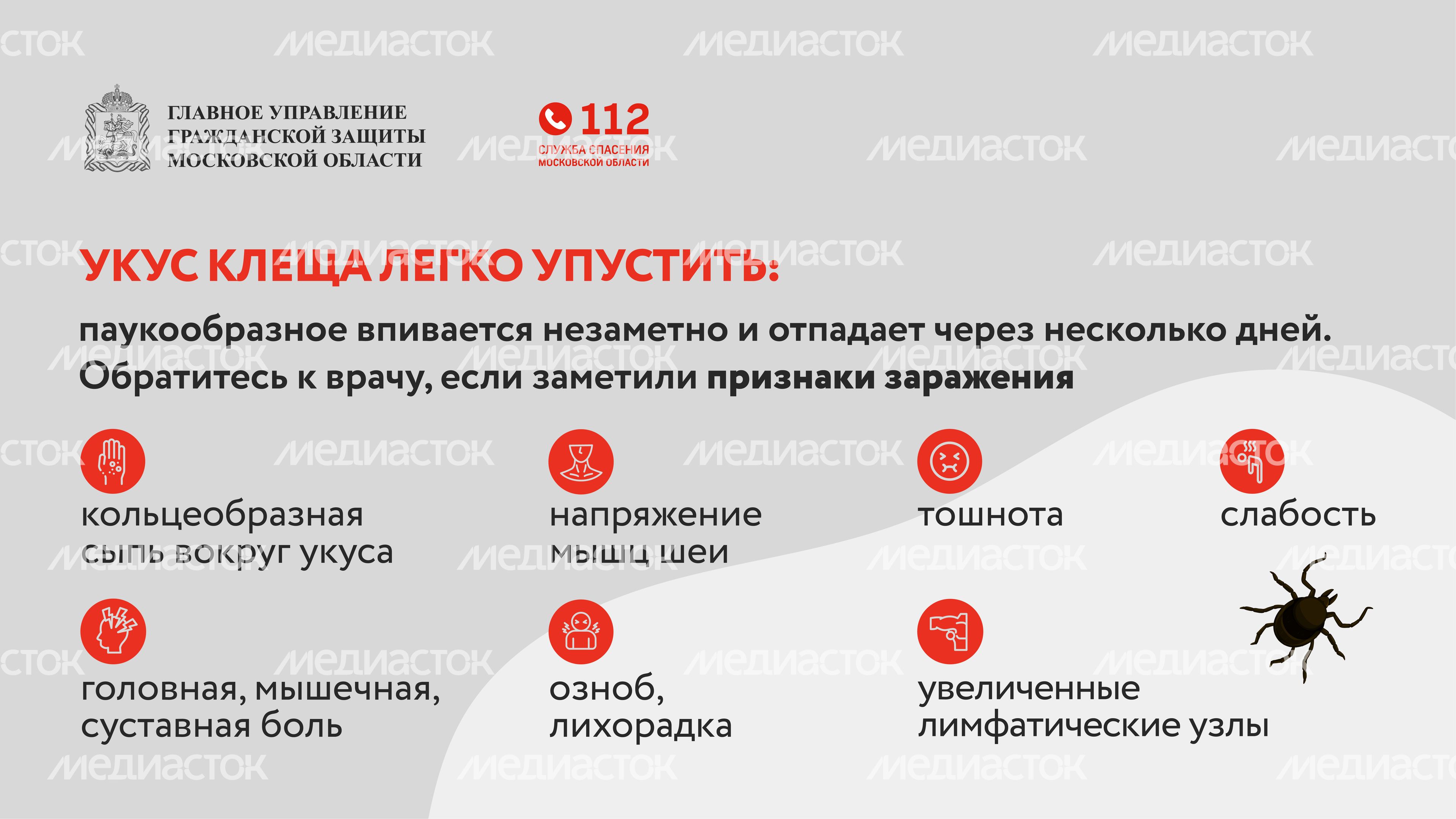 клещи_горизонталь_07