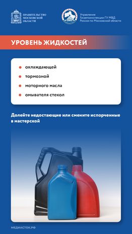 Диагностика вне плана Перед путешествием 2025 Вертикаль 03