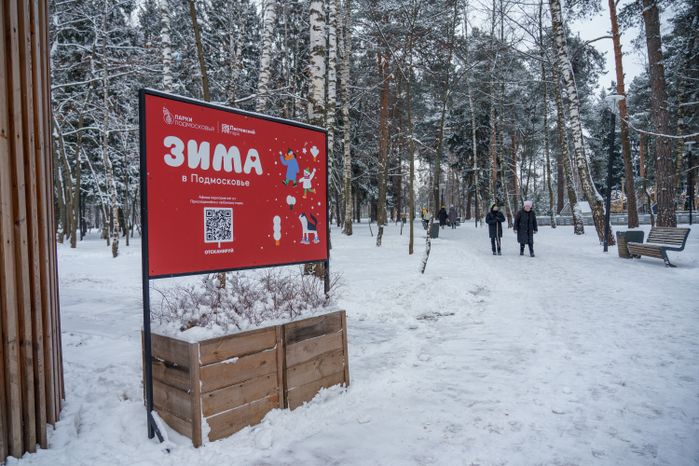 Балашиха. Пестовский парк. Зима