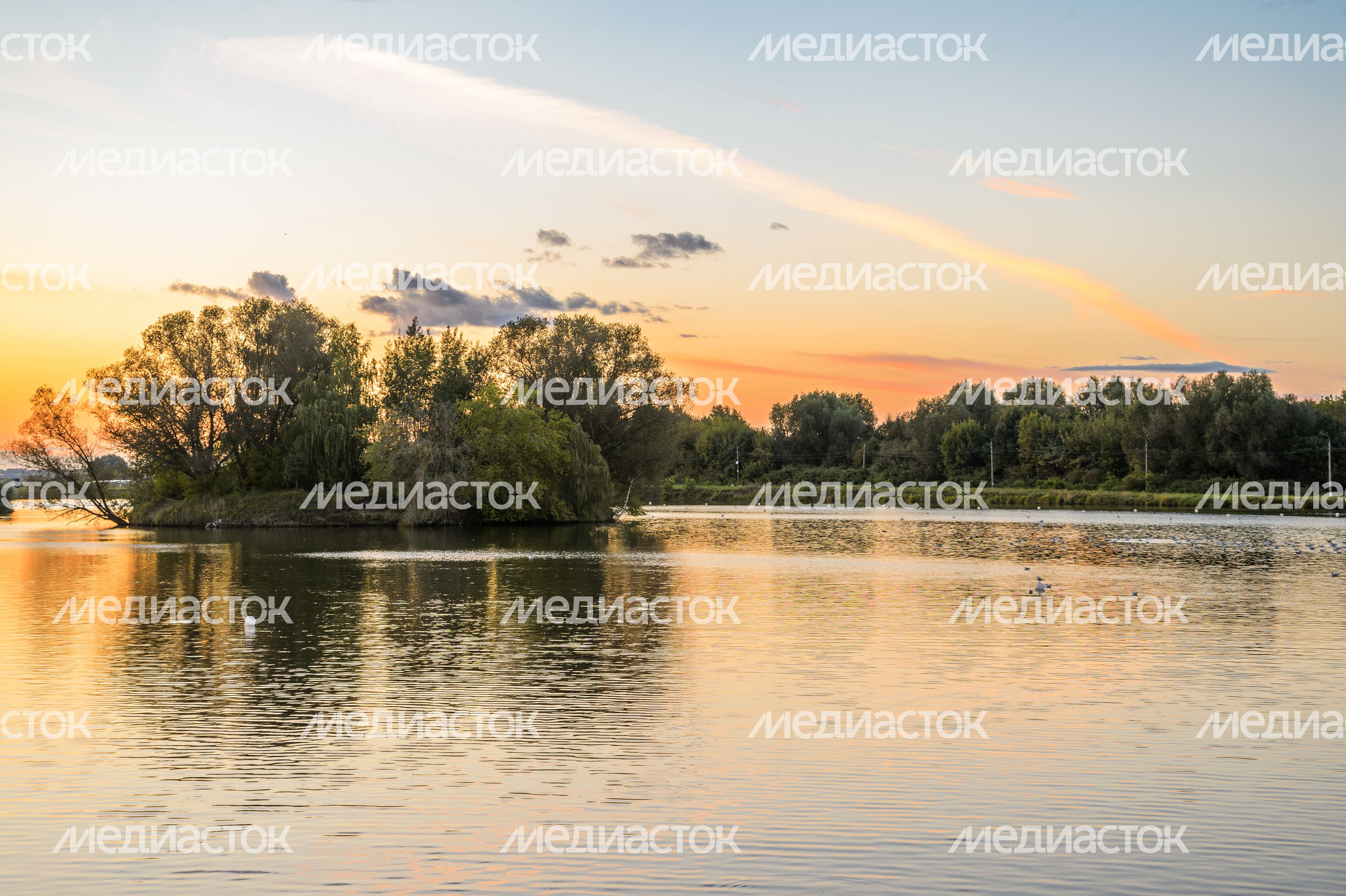 Бронницы. Парк "Бронницкий луг" Бронницы. Парк "Бронницкий луг"