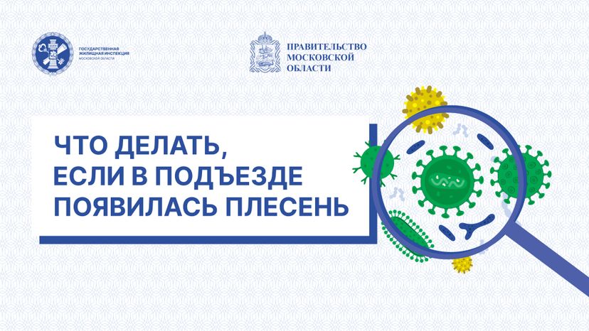 Горизонтали Плесень 01.jpg