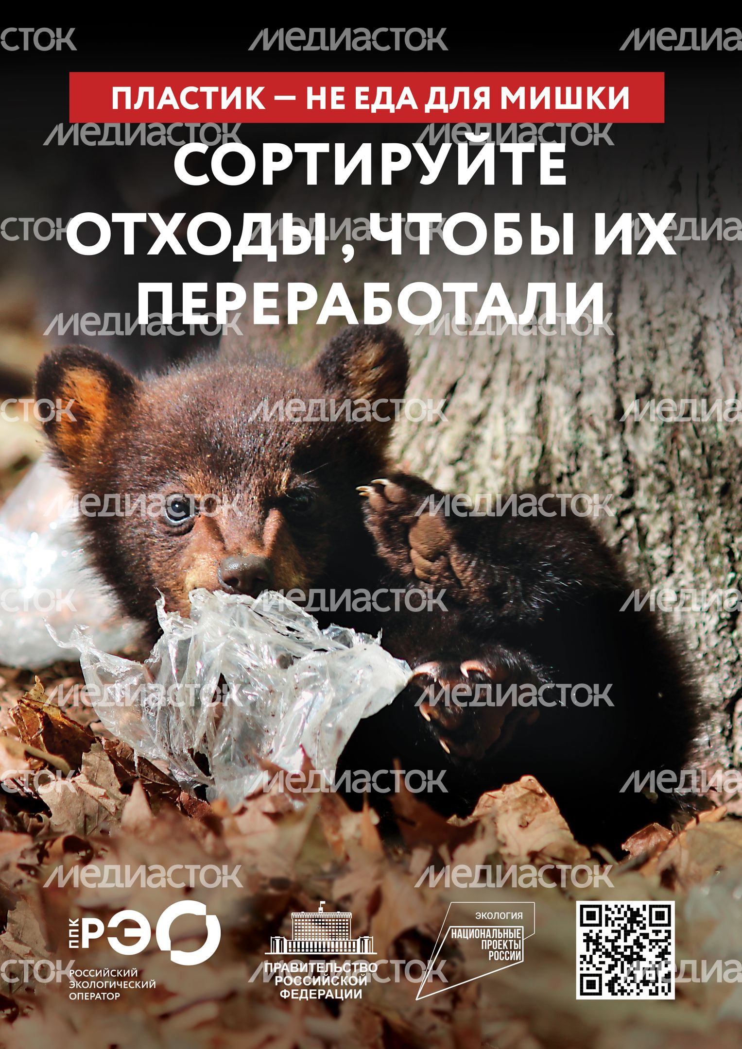 Seria 9 animal poster _A2_1