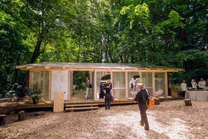 Прогулка по художественно-терапевтической тропе «Лес» в Горках Ленинских