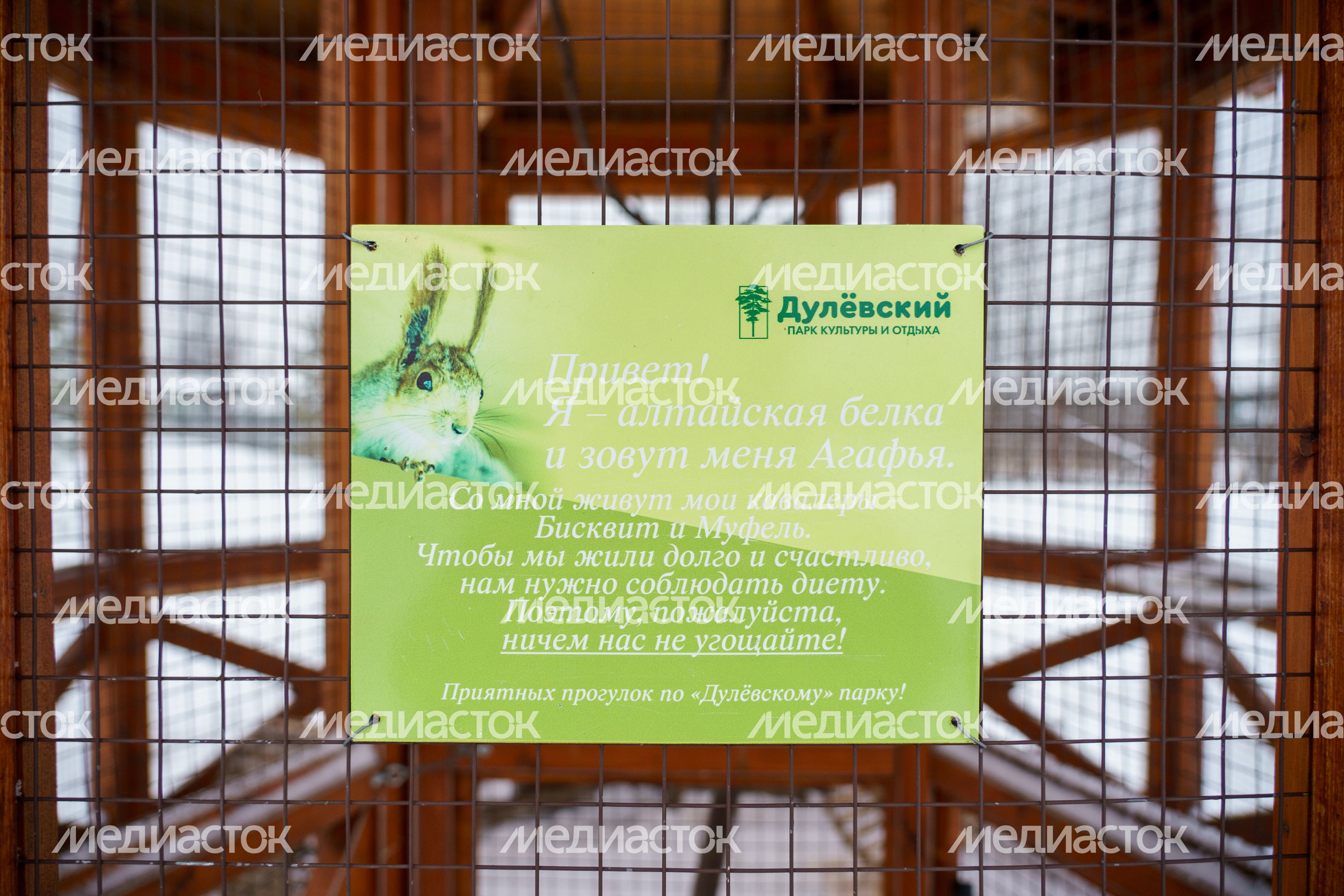 Парк «Дулевский» в Ликино-Дулево Парк «Дулевский» в Ликино-Дулево