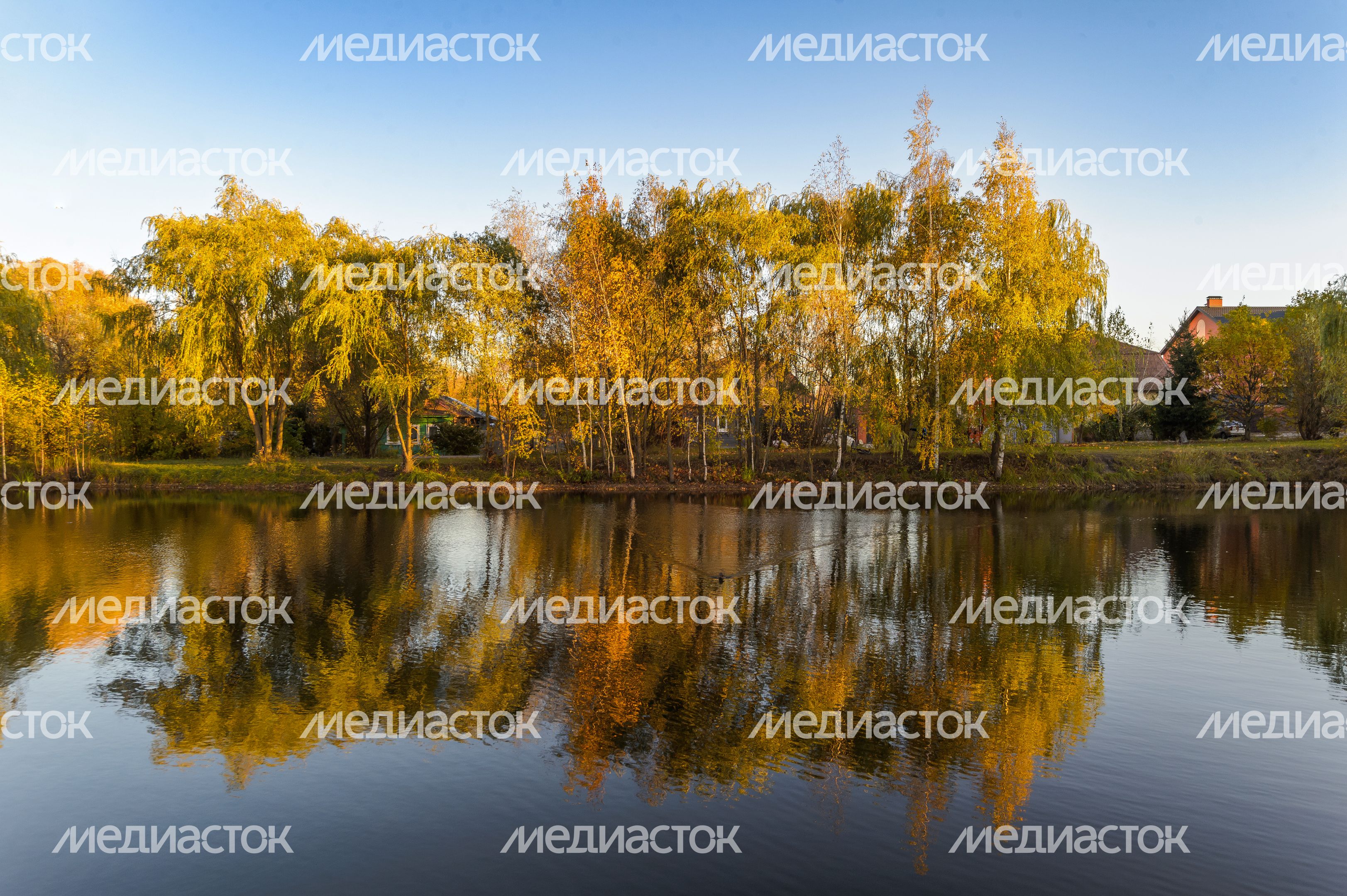 Егорьевск. Егорьевский технологический институт Егорьевск. Егорьевский технологический институт