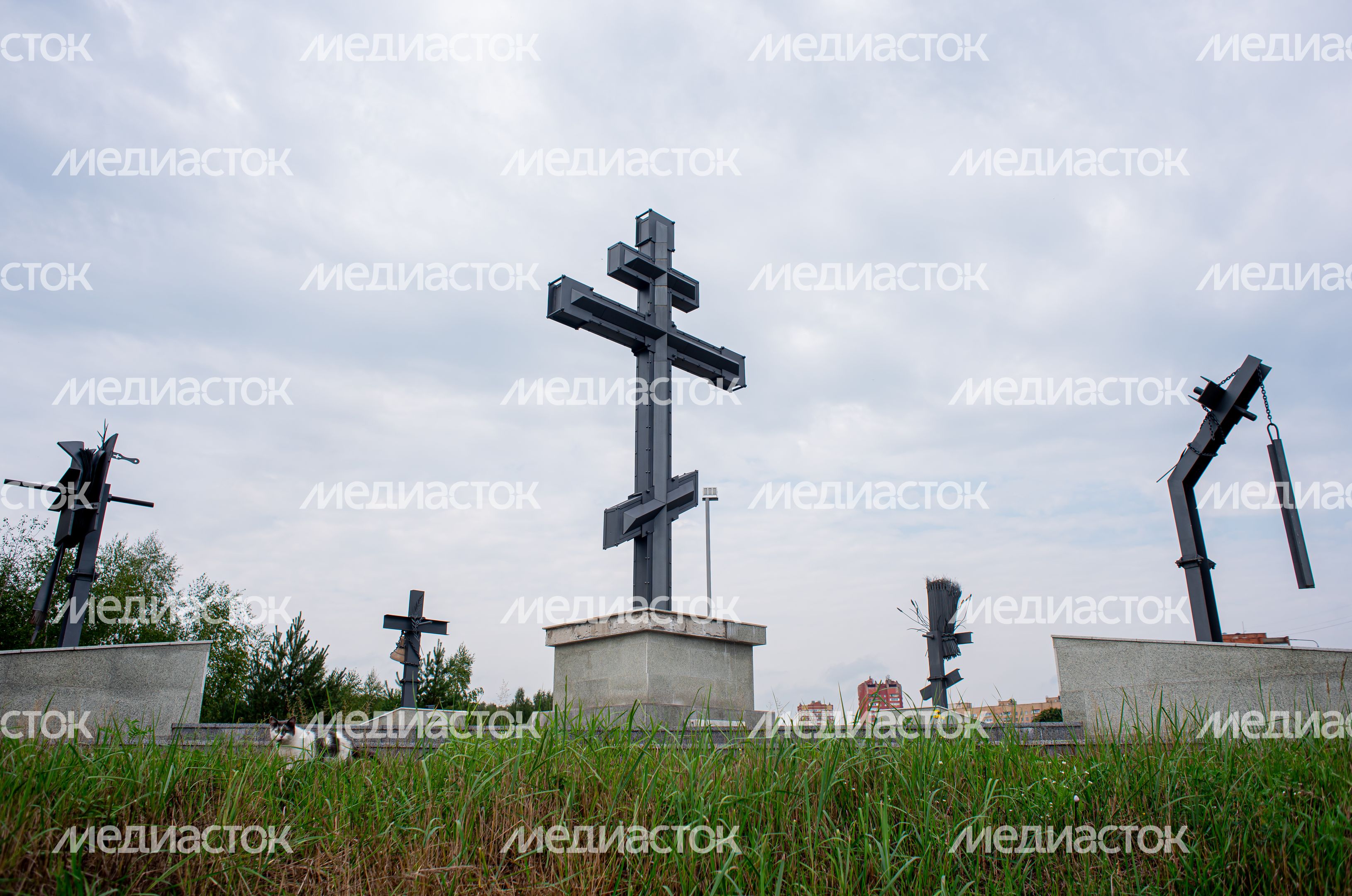 Летние виды города Черноголовка
