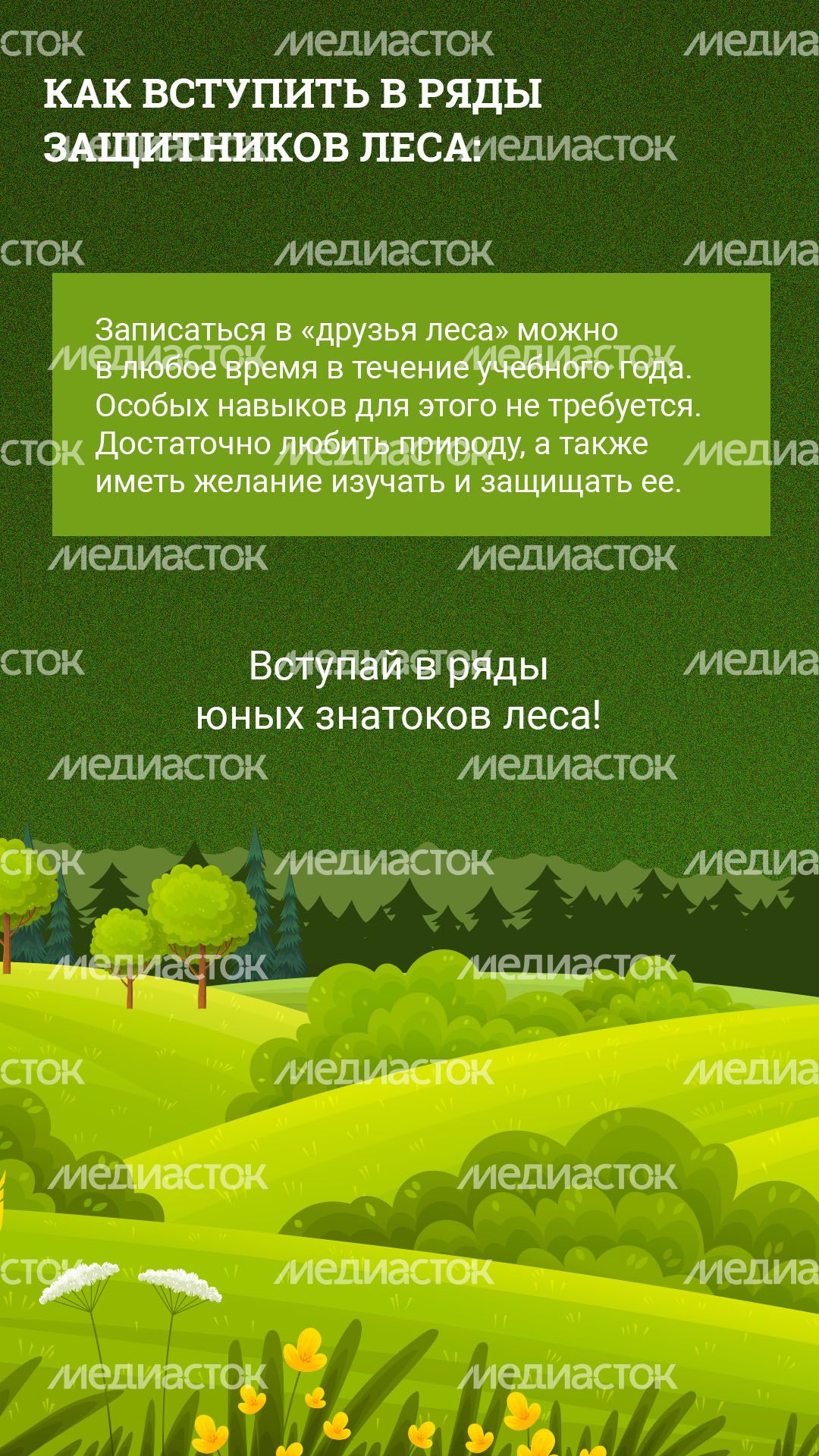 Вертикаль_Школьные лесничестваArtboard 6.jpg