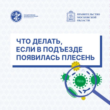 Квадрат Плесень 01.jpg