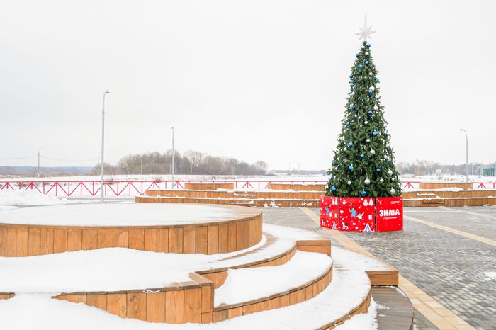 Бронницы. Парк «Бронницкий луг». Зима
