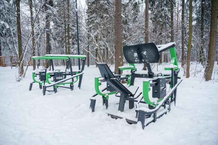 Балашиха. Ольгинский лесопарк. Зима