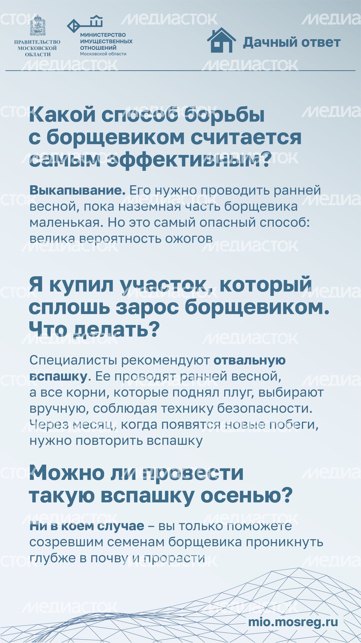 Дачный ответ_борщевик-06.jpg