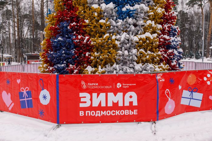 Центральный парк культуры и отдыха в Ногинске зимой
