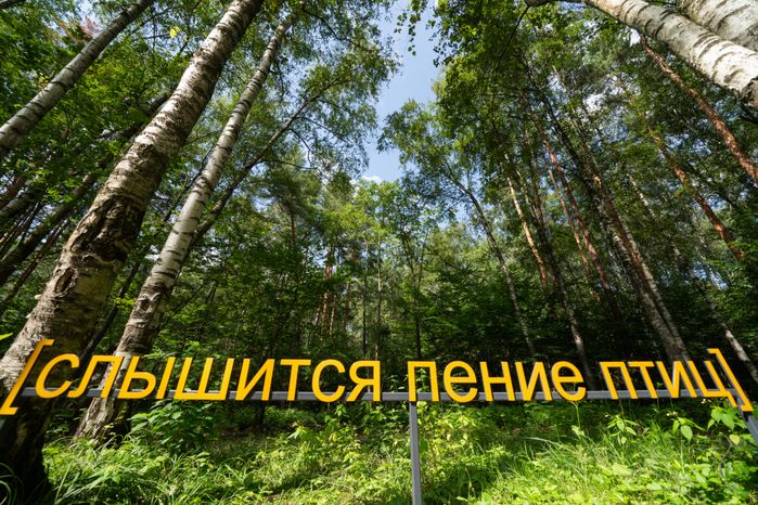 Летний парк Малевича 2024 в Одинцовском округе