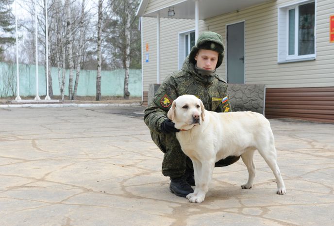 Племенной питомник «Красная Звезда» в Дмитровском районе