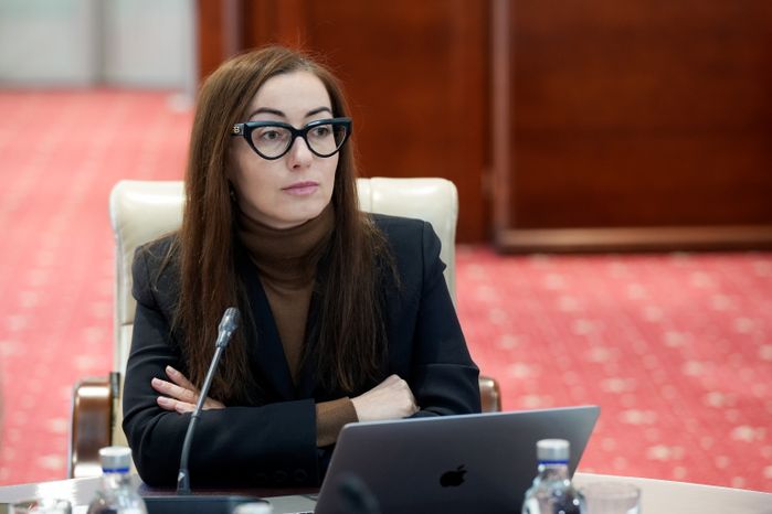 Екатерина Швелидзе на заседании Межпарламентской комиссии по сотрудничеству России и Белоруссии