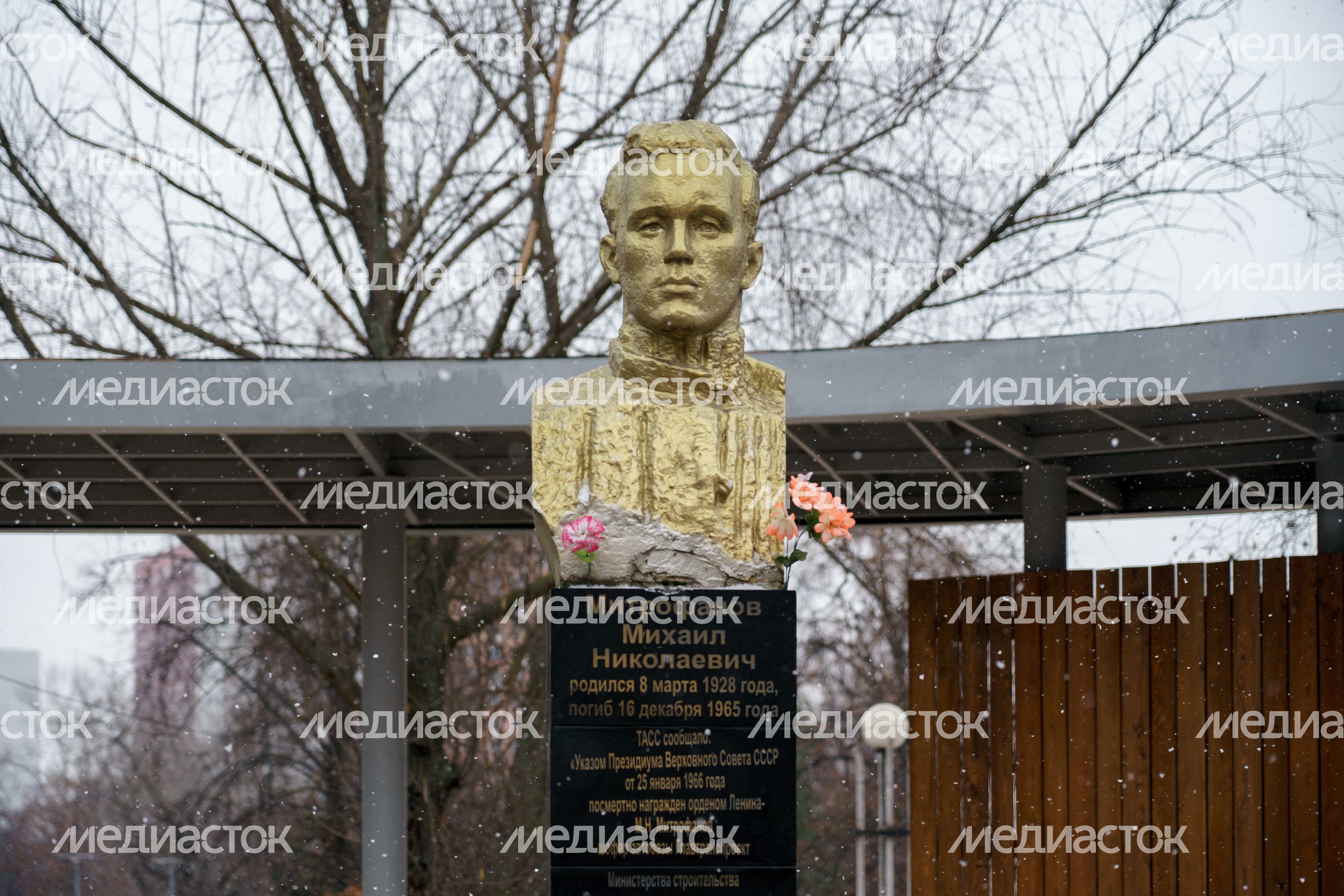 Люберцы. Наташинский парк Люберцы. Наташинский парк