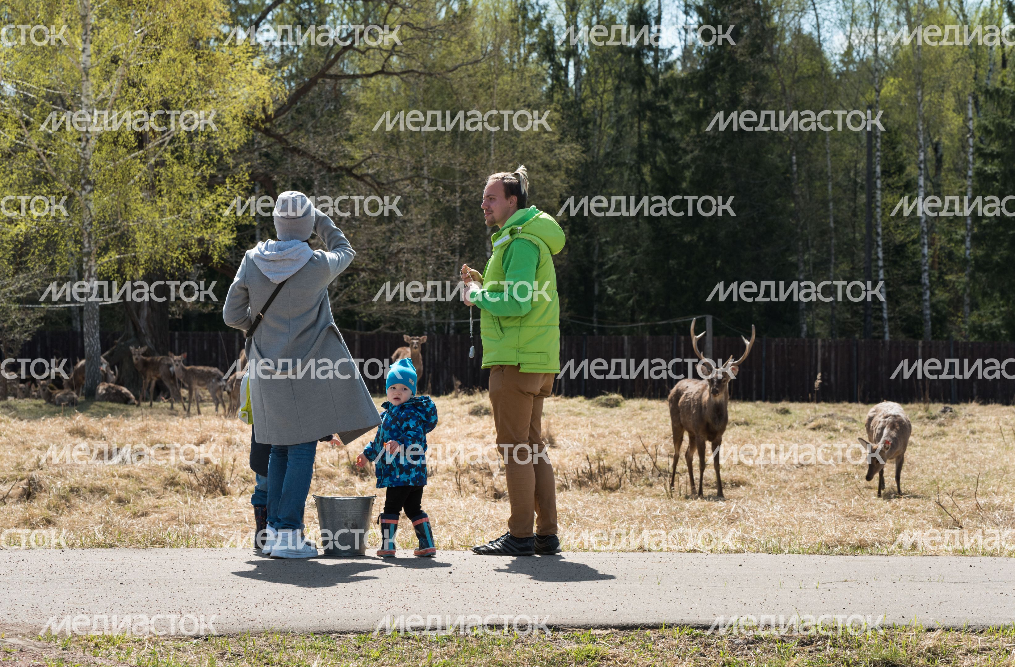 Национальный парк Лосиный остров