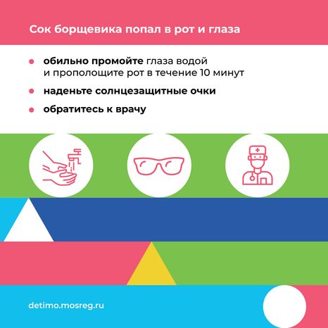 Квадрат_Борщевик Сосновского_07.png