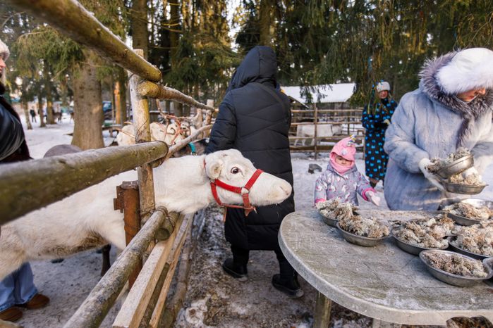 Оленья ферма ZooОleni в Рузском округе