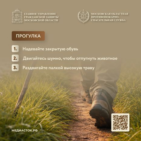 Гадюки квадрат 05