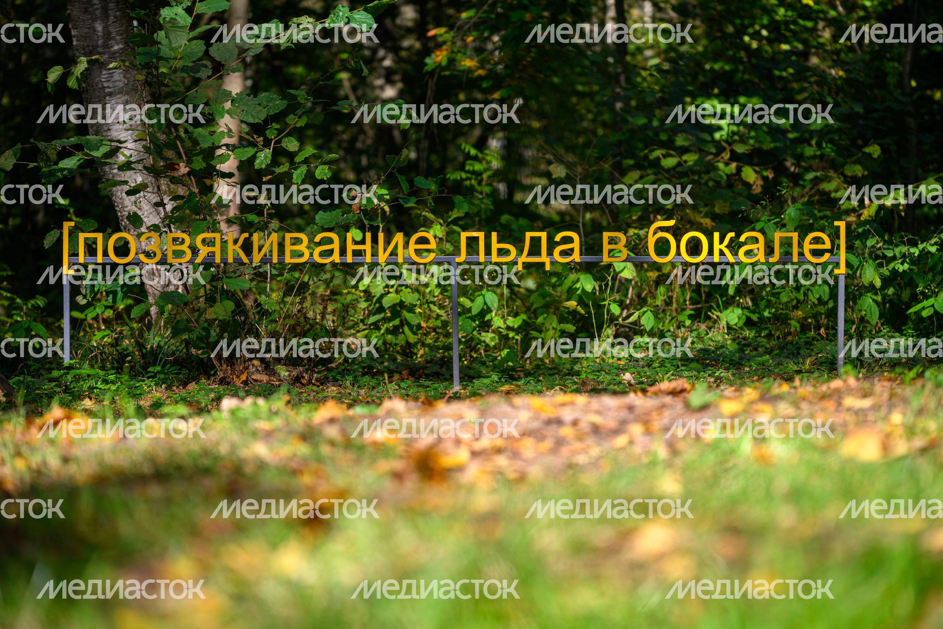 Арт-объект «Субтитры» группы «МишМаш» в парке Малевича Одинцовского округа осенью Арт-объект «Субтитры» группы «МишМаш» в парке Малевича Одинцовского округа осенью