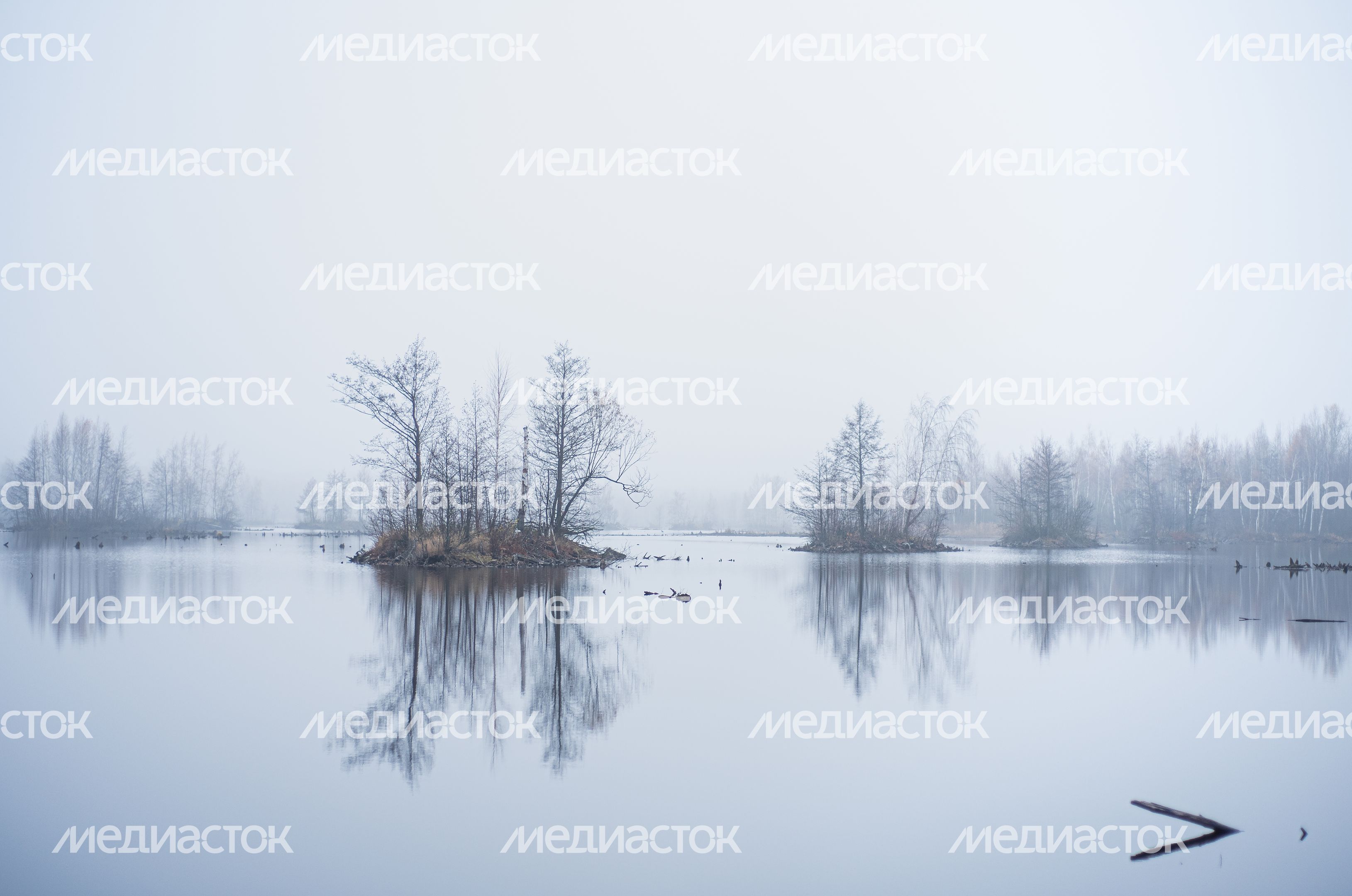 Шатурские болота