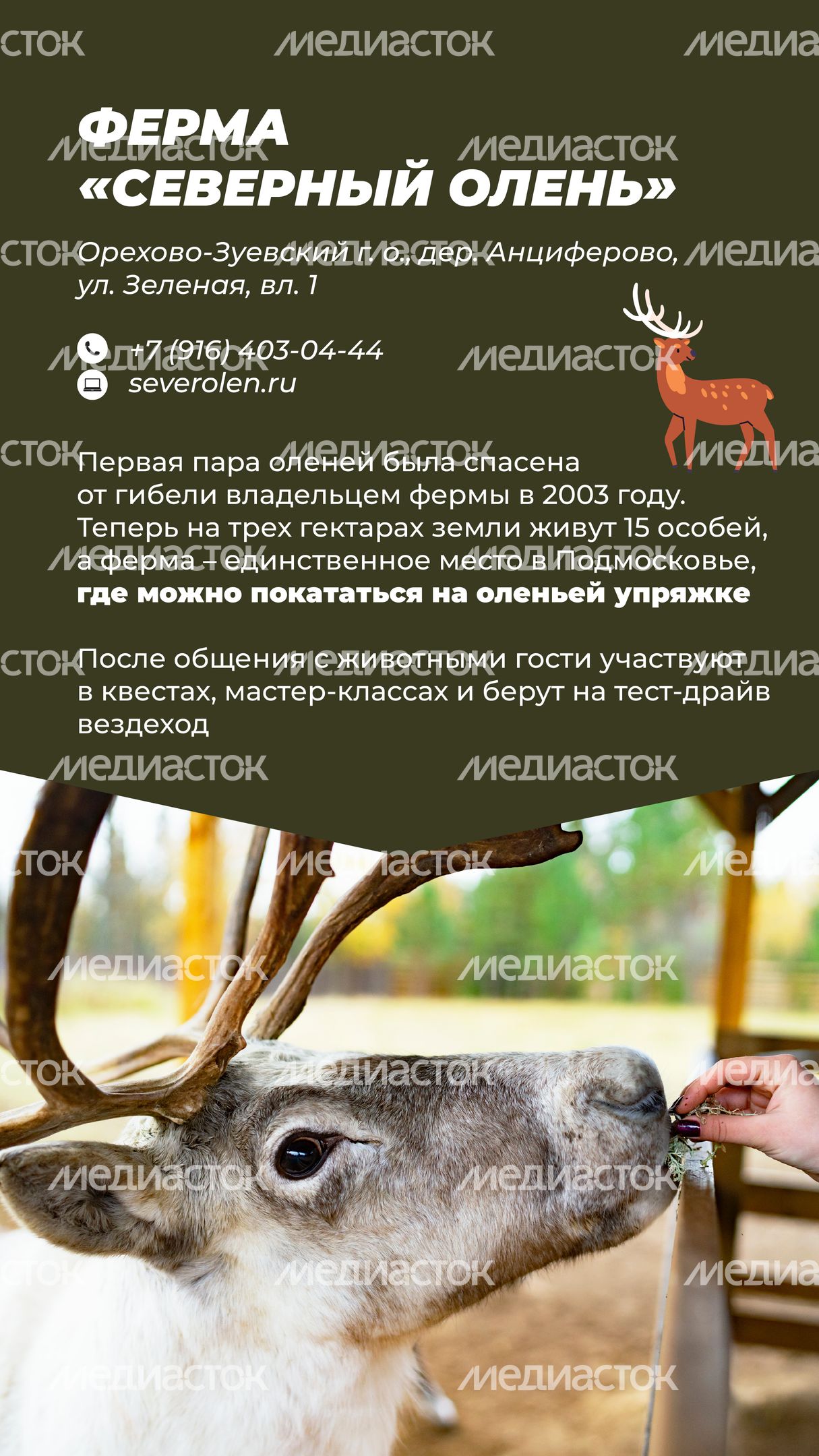 Фермы с животными-08.jpg