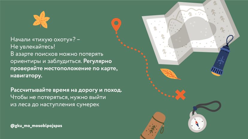 Горизонталь грибы 06.jpg