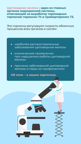 Заболевания щитовидной железы Вертикаль 02