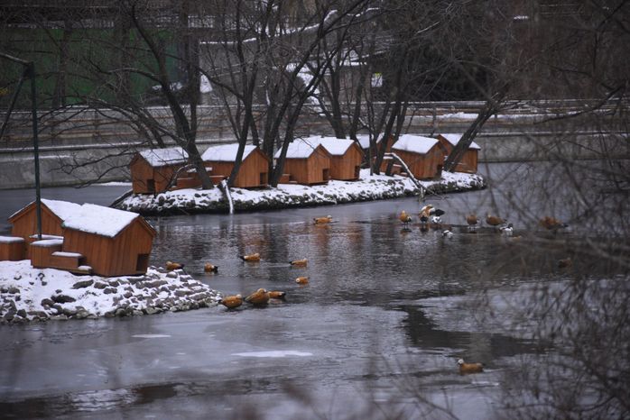 Московский зоопарк