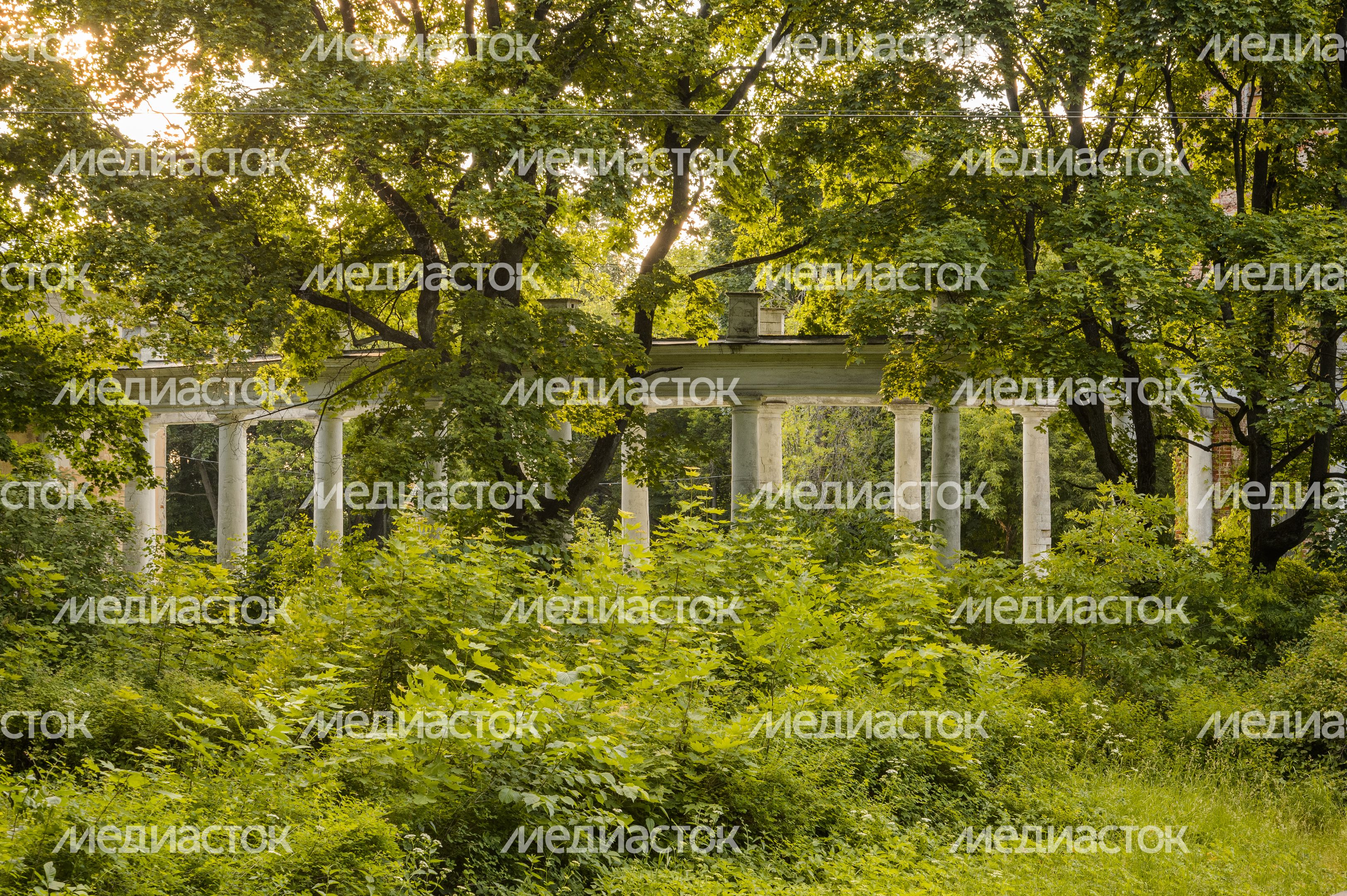 Усадьба Пехра-Яковлевское