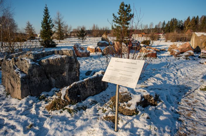Зимний Парк Птиц «Воробьи»