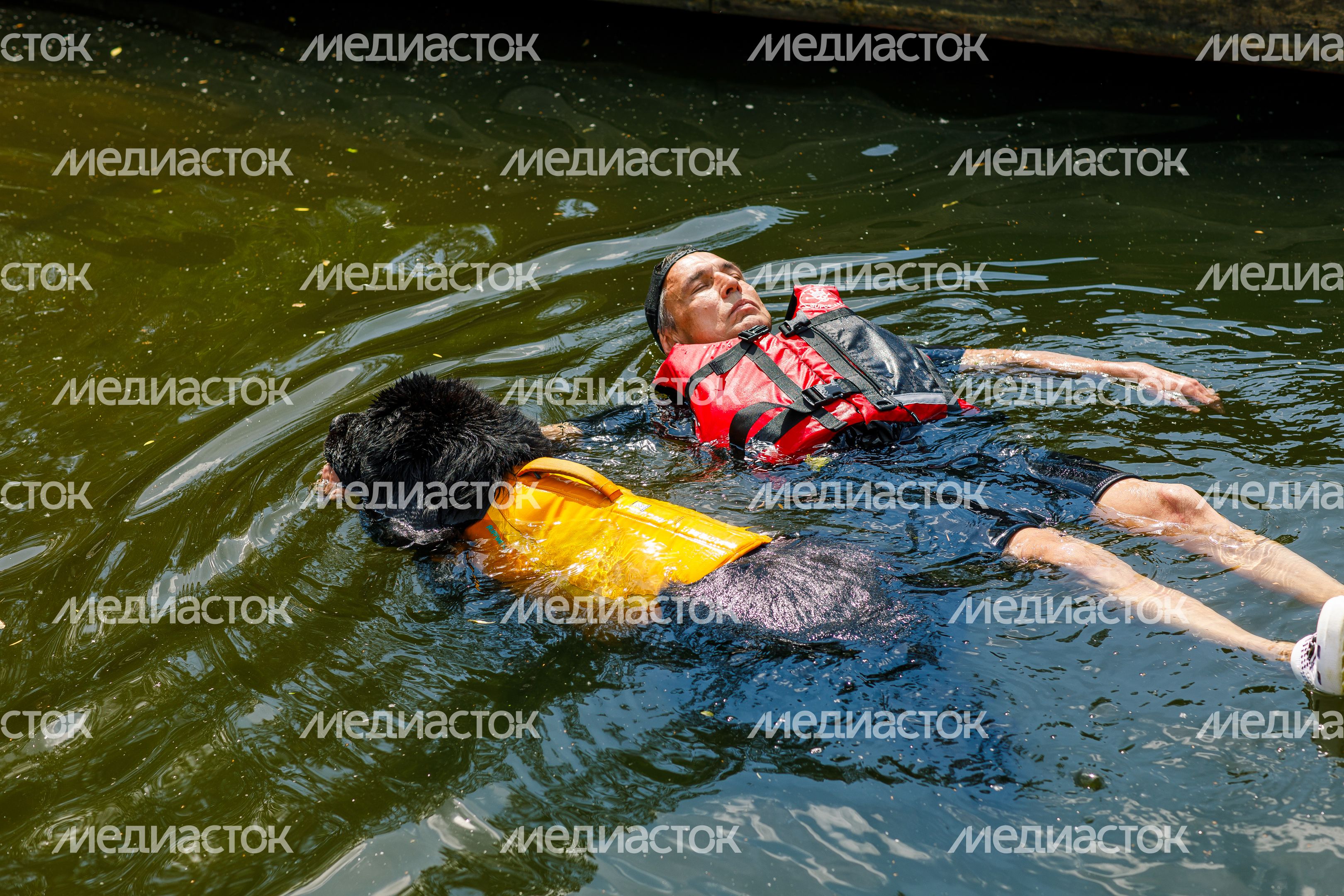 Фестиваль водных видов спорта "Вода для всех" прошел в Красногорске