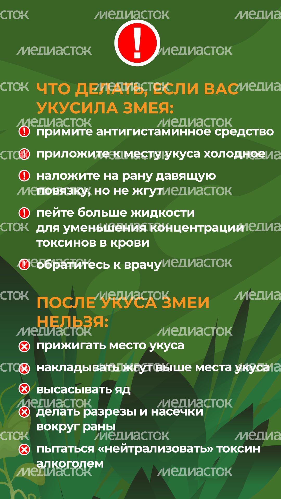комлесхоз_змеи_верт_7