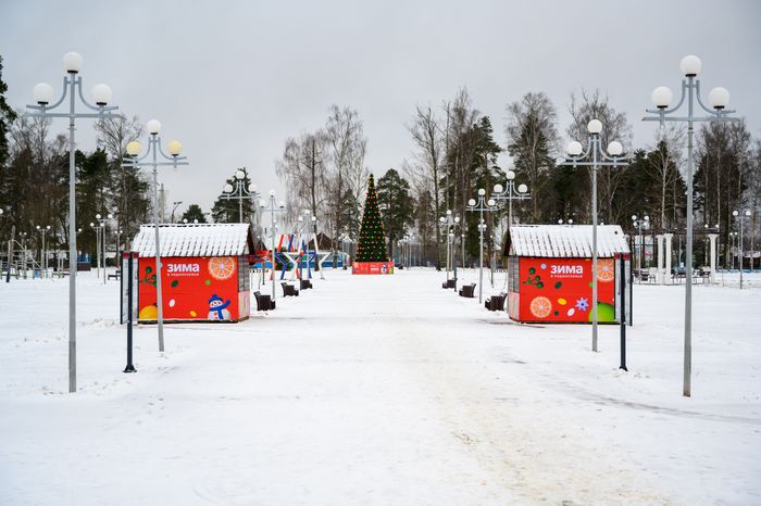 Городской парк культуры и отдыха в Электрогорске Павлово-Посадского округа зимой