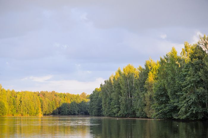 Горокруг Черноголовка. Летние виды реки Черноголовки