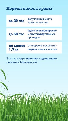 Как ухаживают за газонами вертикаль 04