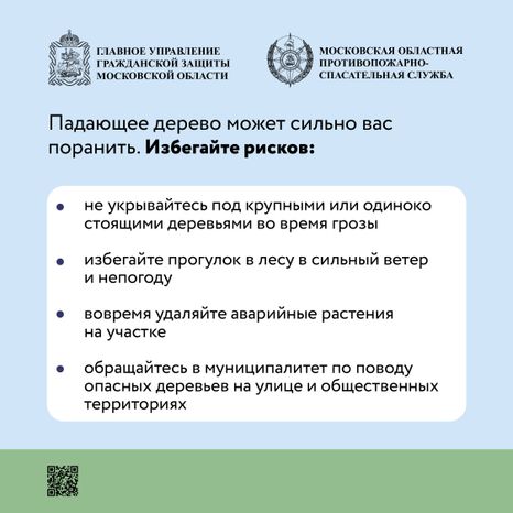 Аварийные деревья_Квадрат-05.jpg
