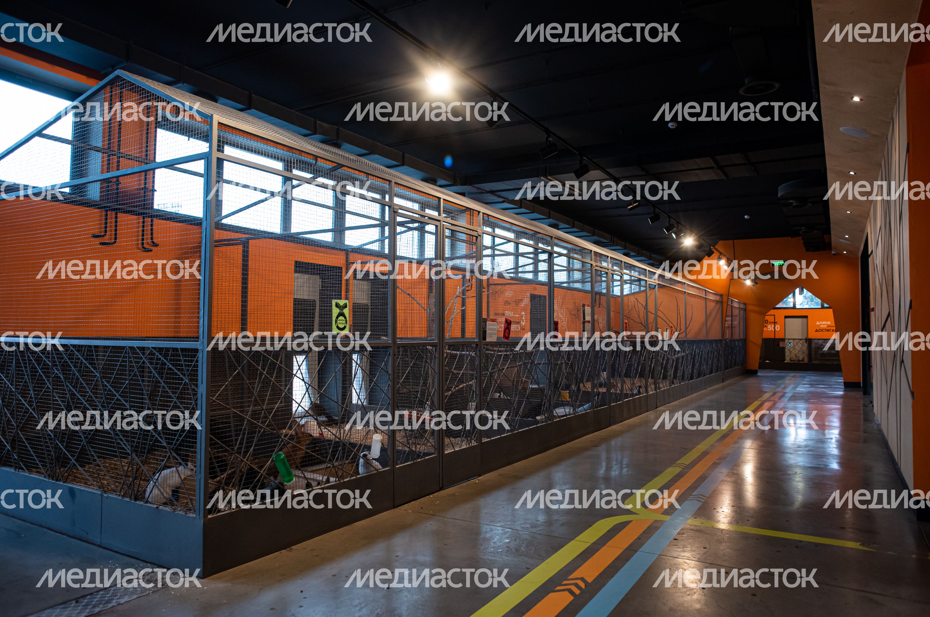 ЗооСад Конноспортивного комплекса «Дивный»