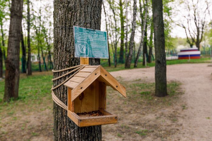 Центральный парк культуры и отдыха города Видное в Ленинском округе